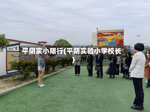 平阴实小限行(平阴实验小学校长)