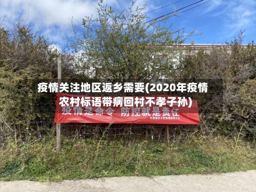 疫情关注地区返乡需要(2020年疫情农村标语带病回村不孝子孙)-第2张图片