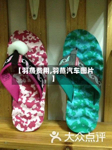 【羽燕费用,羽燕汽车图片】-第2张图片