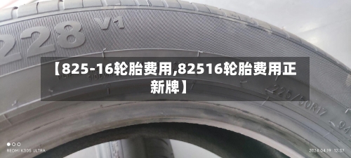 【825-16轮胎费用,82516轮胎费用正新牌】-第3张图片