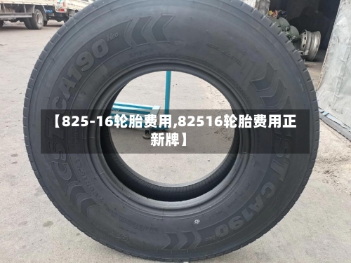 【825-16轮胎费用,82516轮胎费用正新牌】-第2张图片