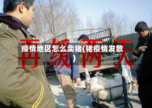 疫情地区怎么卖猪(猪疫情发散)-第2张图片