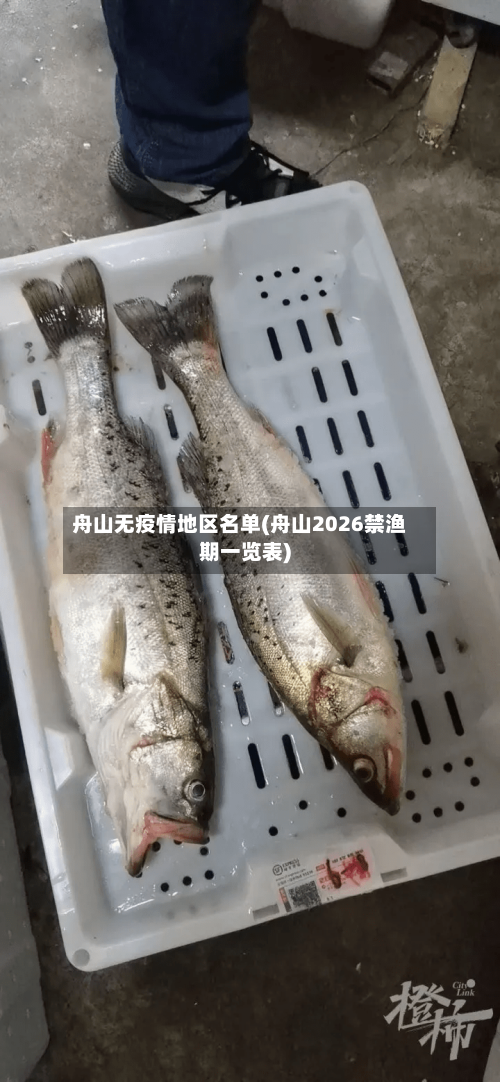 舟山无疫情地区名单(舟山2026禁渔期一览表)