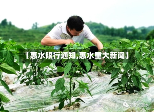 【惠水限行通知,惠水重大新闻】-第3张图片