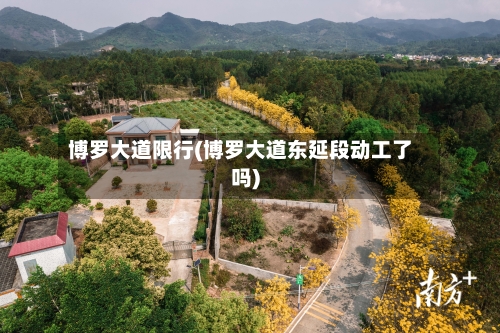 博罗大道限行(博罗大道东延段动工了吗)