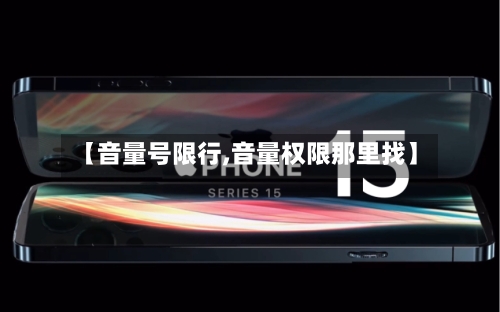 【音量号限行,音量权限那里找】-第3张图片