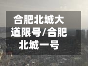 合肥北城大道限号/合肥北城一号