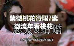 紫微桃花行限/紫微流年看桃花