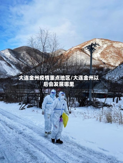 大连金州疫情重点地区/大连金州以后会发展哪里-第2张图片