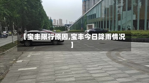 【宝丰限行原因,宝丰今日降雨情况】-第2张图片