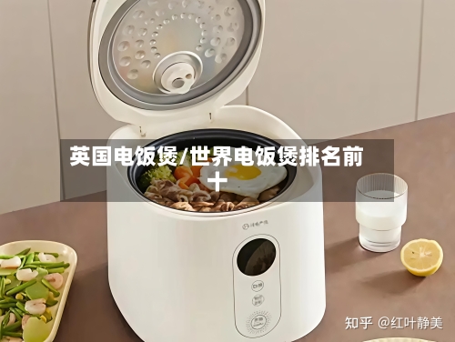 英国电饭煲/世界电饭煲排名前十