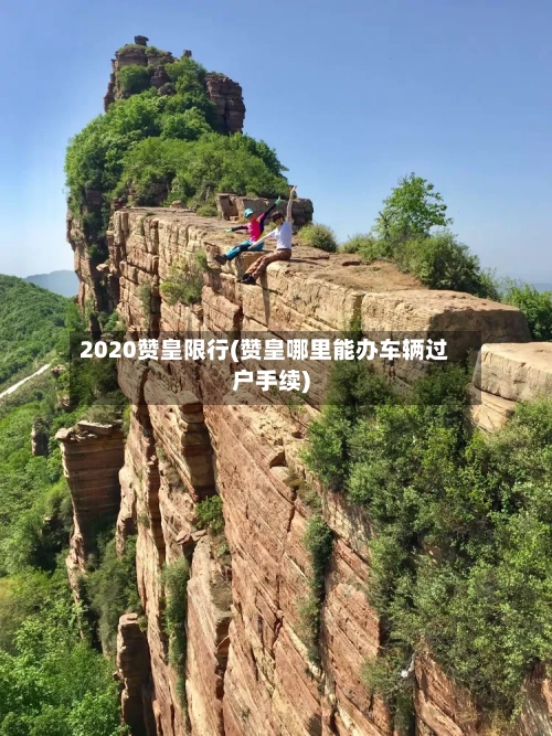 2020赞皇限行(赞皇哪里能办车辆过户手续)-第2张图片