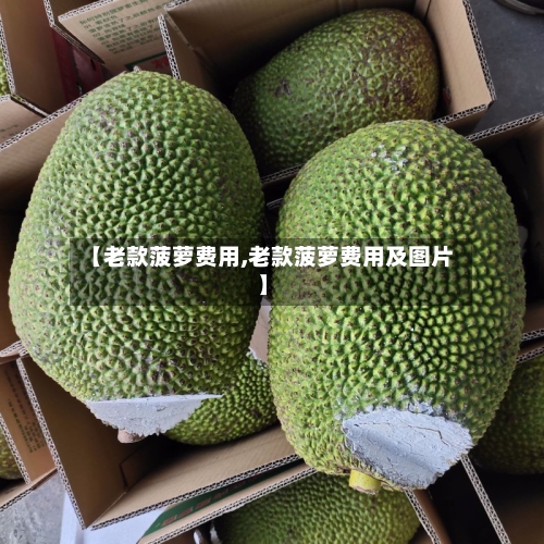 【老款菠萝费用,老款菠萝费用及图片】-第2张图片