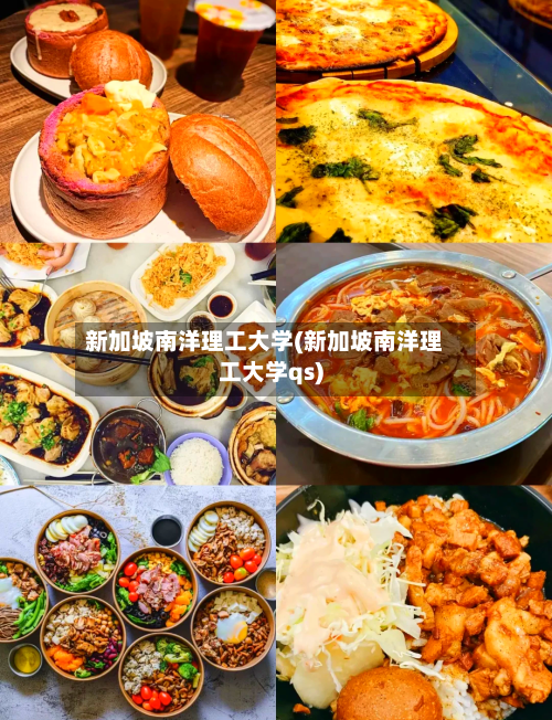 新加坡南洋理工大学(新加坡南洋理工大学qs)