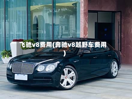 飞驰v8费用(奔驰v8越野车费用)-第2张图片