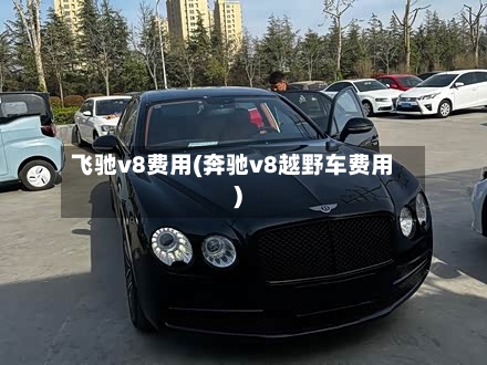 飞驰v8费用(奔驰v8越野车费用)-第3张图片