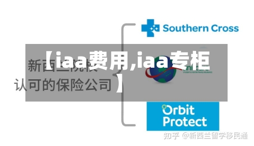 【iaa费用,iaa专柜】