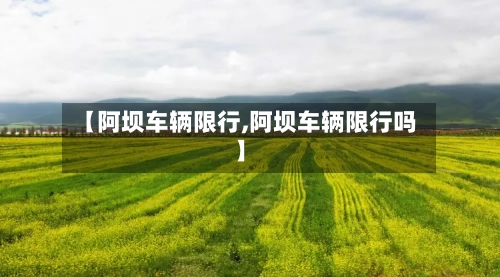 【阿坝车辆限行,阿坝车辆限行吗】-第2张图片