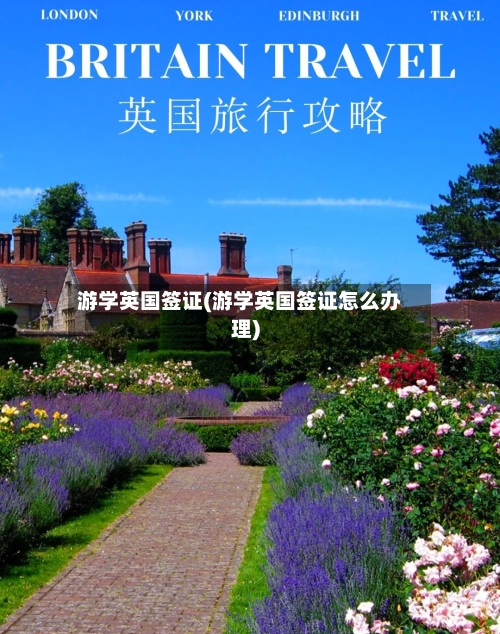 游学英国签证(游学英国签证怎么办理)
