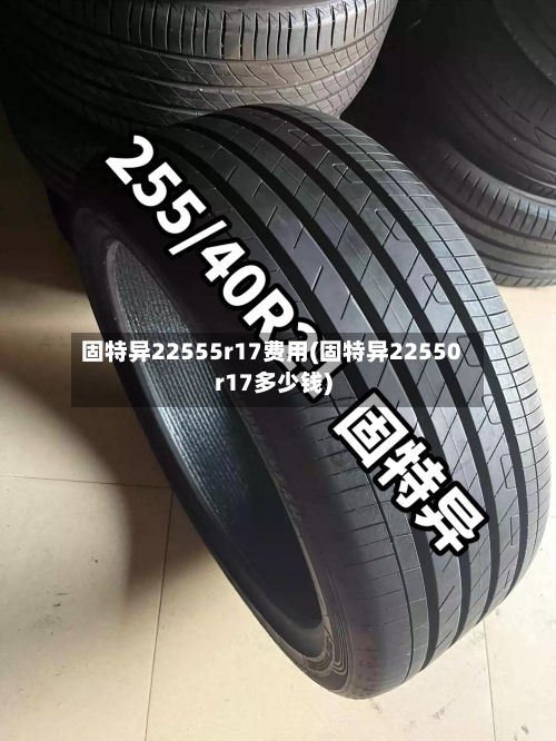 固特异22555r17费用(固特异22550r17多少钱)-第2张图片