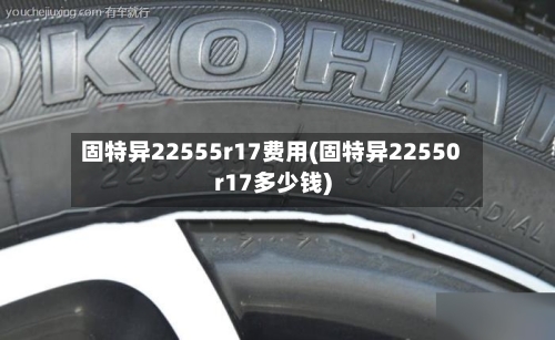 固特异22555r17费用(固特异22550r17多少钱)-第3张图片