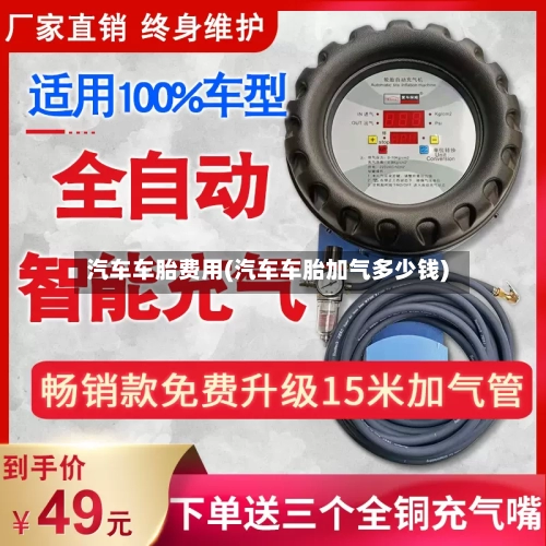 汽车车胎费用(汽车车胎加气多少钱)-第2张图片