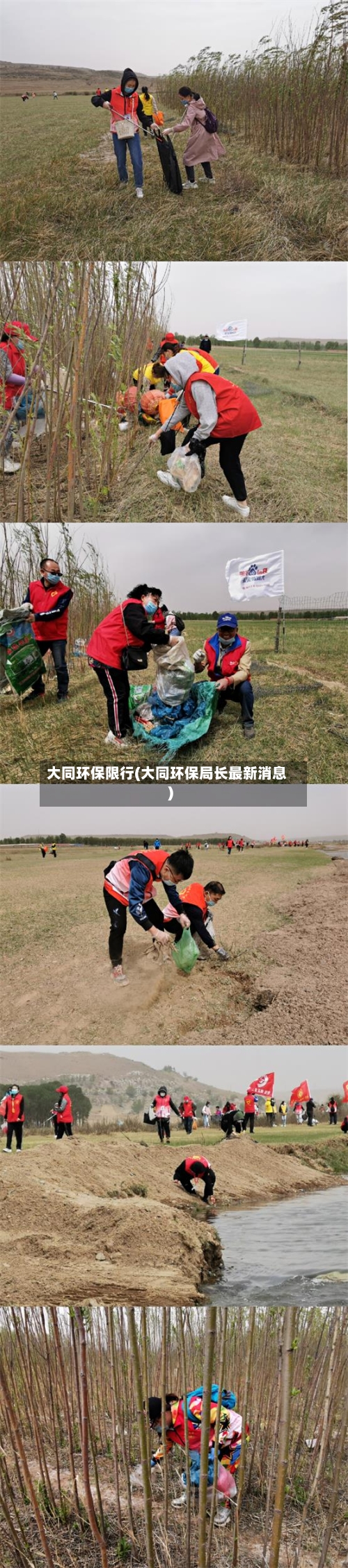 大同环保限行(大同环保局长最新消息)-第2张图片