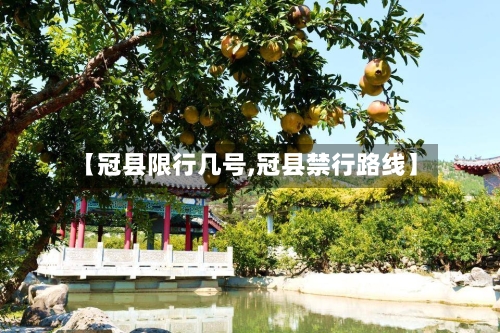 【冠县限行几号,冠县禁行路线】-第2张图片