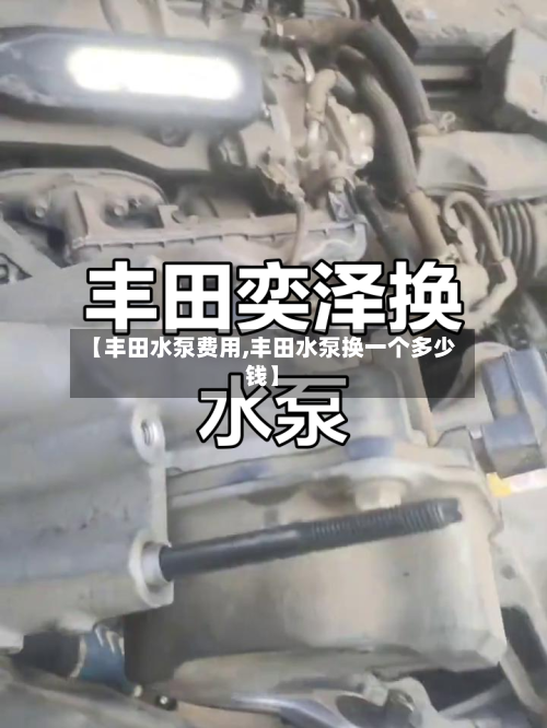 【丰田水泵费用,丰田水泵换一个多少钱】-第3张图片