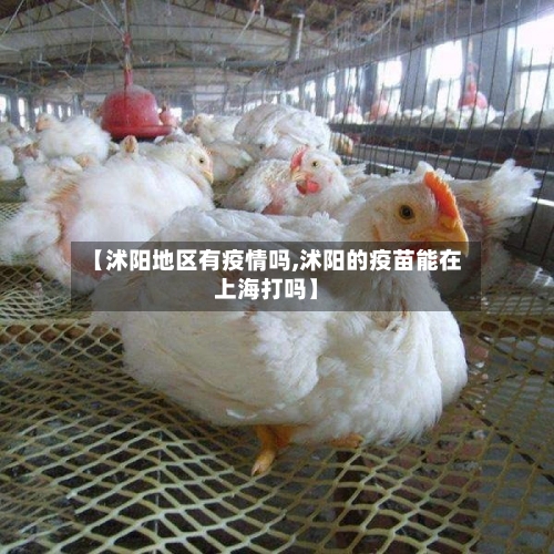 【沭阳地区有疫情吗,沭阳的疫苗能在上海打吗】