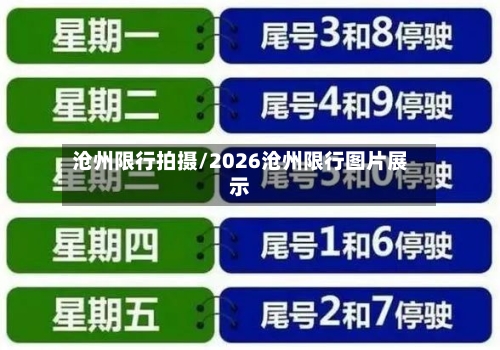 沧州限行拍摄/2026沧州限行图片展示