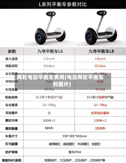 两轮电动平衡车费用(电动两轮平衡车的图片)