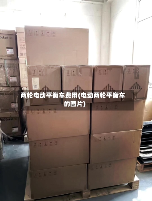 两轮电动平衡车费用(电动两轮平衡车的图片)-第2张图片