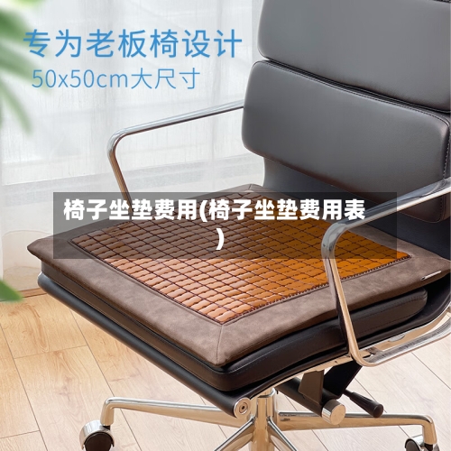 椅子坐垫费用(椅子坐垫费用表)-第3张图片