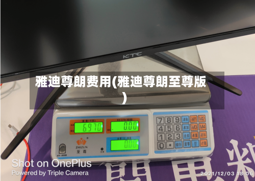 雅迪尊朗费用(雅迪尊朗至尊版)-第2张图片