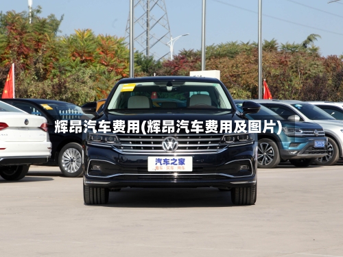 辉昂汽车费用(辉昂汽车费用及图片)-第2张图片