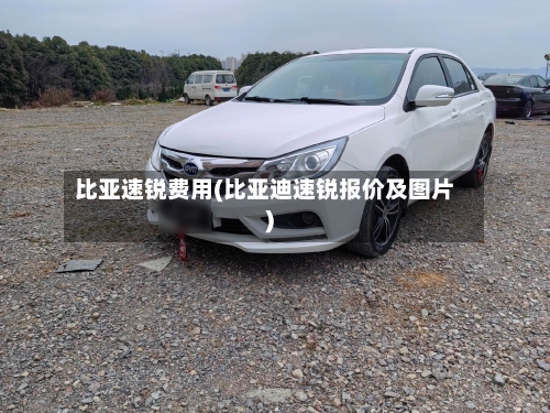 比亚速锐费用(比亚迪速锐报价及图片)-第2张图片