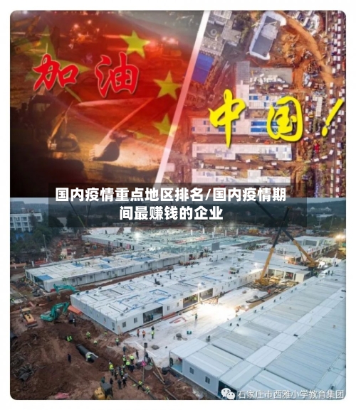 国内疫情重点地区排名/国内疫情期间最赚钱的企业-第3张图片