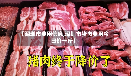 【深圳市费用信息,深圳市猪肉费用今日价一斤】-第3张图片