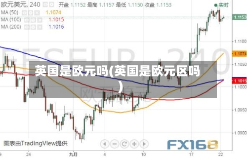 英国是欧元吗(英国是欧元区吗)-第2张图片
