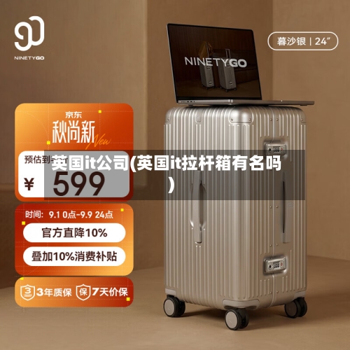 英国it公司(英国it拉杆箱有名吗)-第3张图片