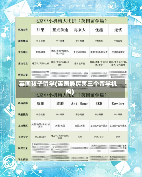 英国孩子留学(英国最厉害三个留学机构)