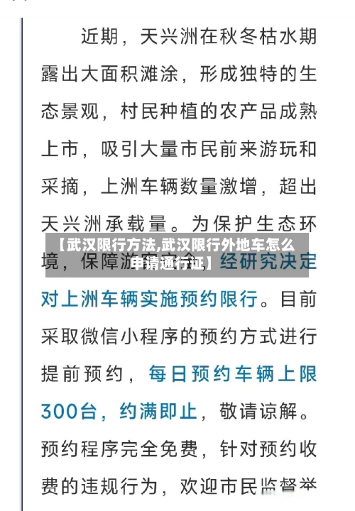 【武汉限行方法,武汉限行外地车怎么申请通行证】-第3张图片