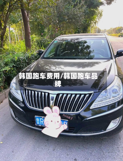 韩国跑车费用/韩国跑车品牌-第3张图片