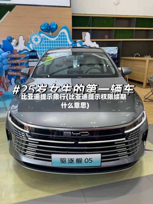 比亚迪提示限行(比亚迪提示权限续期什么意思)