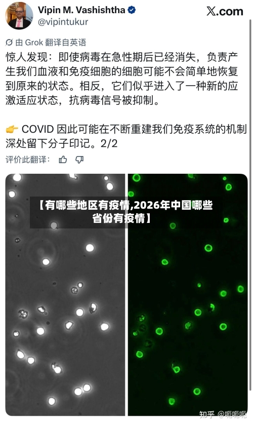 【有哪些地区有疫情,2026年中国哪些省份有疫情】-第2张图片