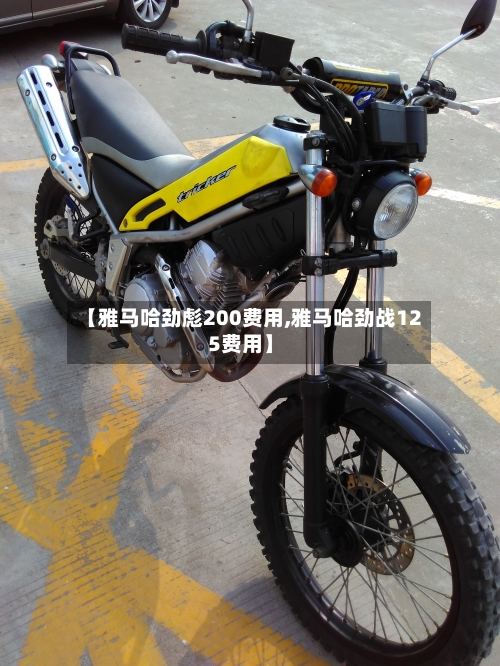【雅马哈劲彪200费用,雅马哈劲战125费用】