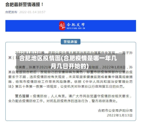 合肥地区疫情图(合肥疫情是哪一年几月几日开始的)-第3张图片