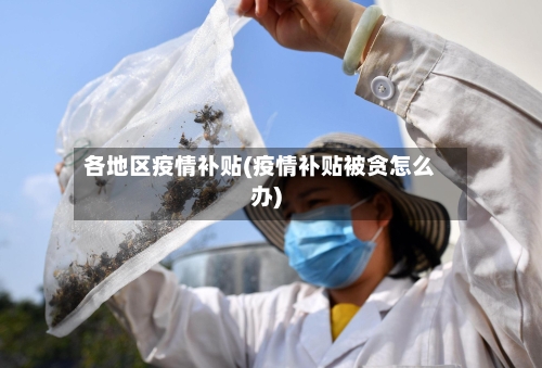 各地区疫情补贴(疫情补贴被贪怎么办)-第2张图片