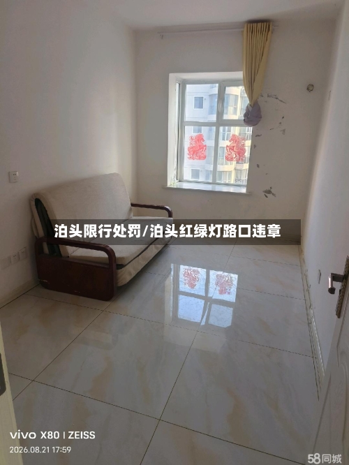 泊头限行处罚/泊头红绿灯路口违章-第2张图片